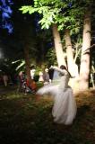 Sous bois 38 * 5184 x 3456 * (6.09MB)